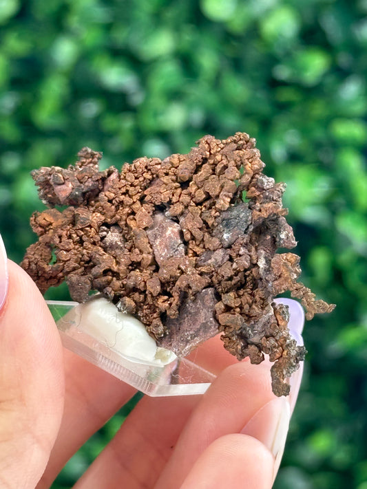 Native Copper Collection mined in the 70s Pearl Handle Pit Ray Mine AZ, US - K