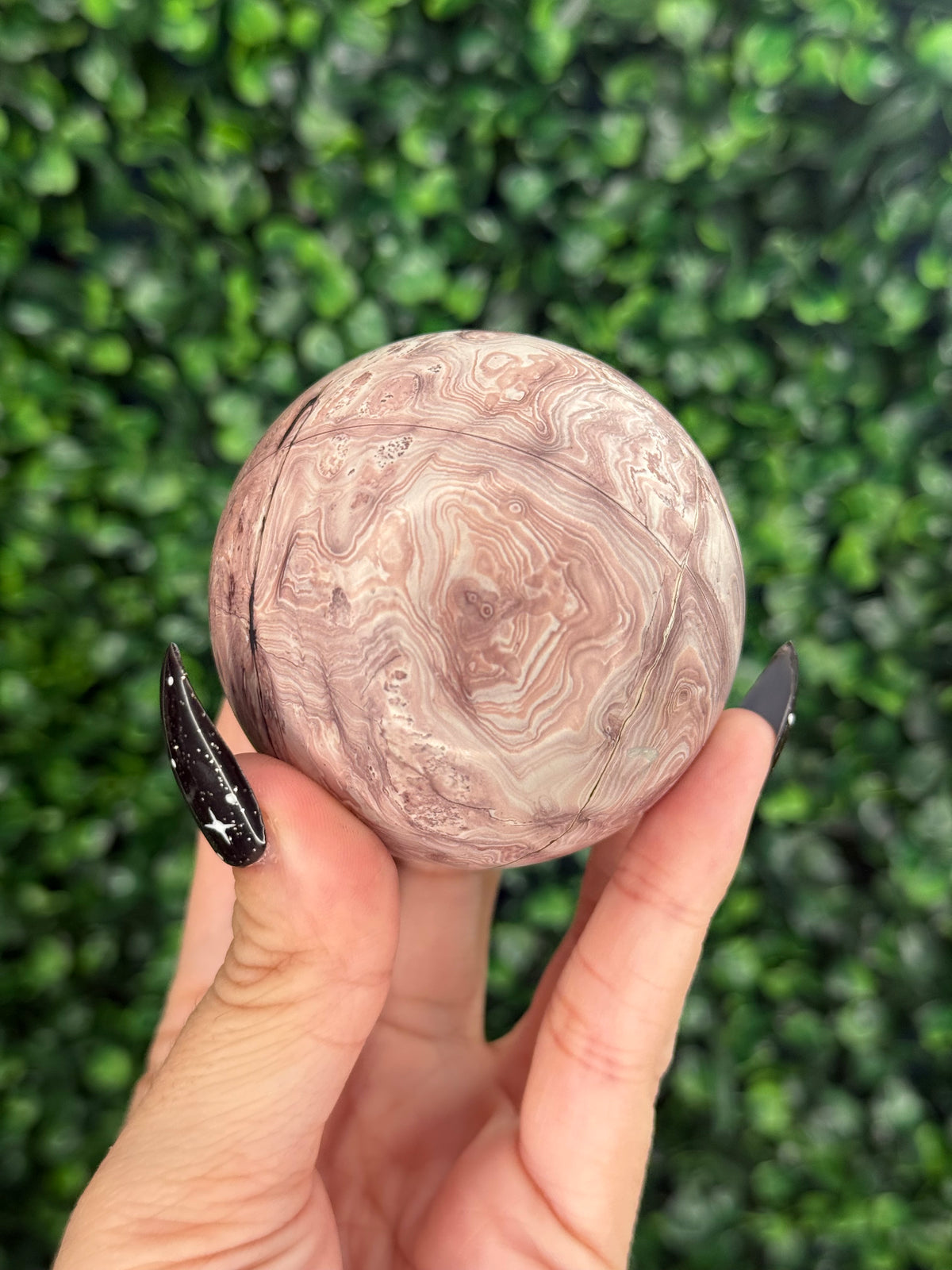 Pink Picture Jasper Spheres A