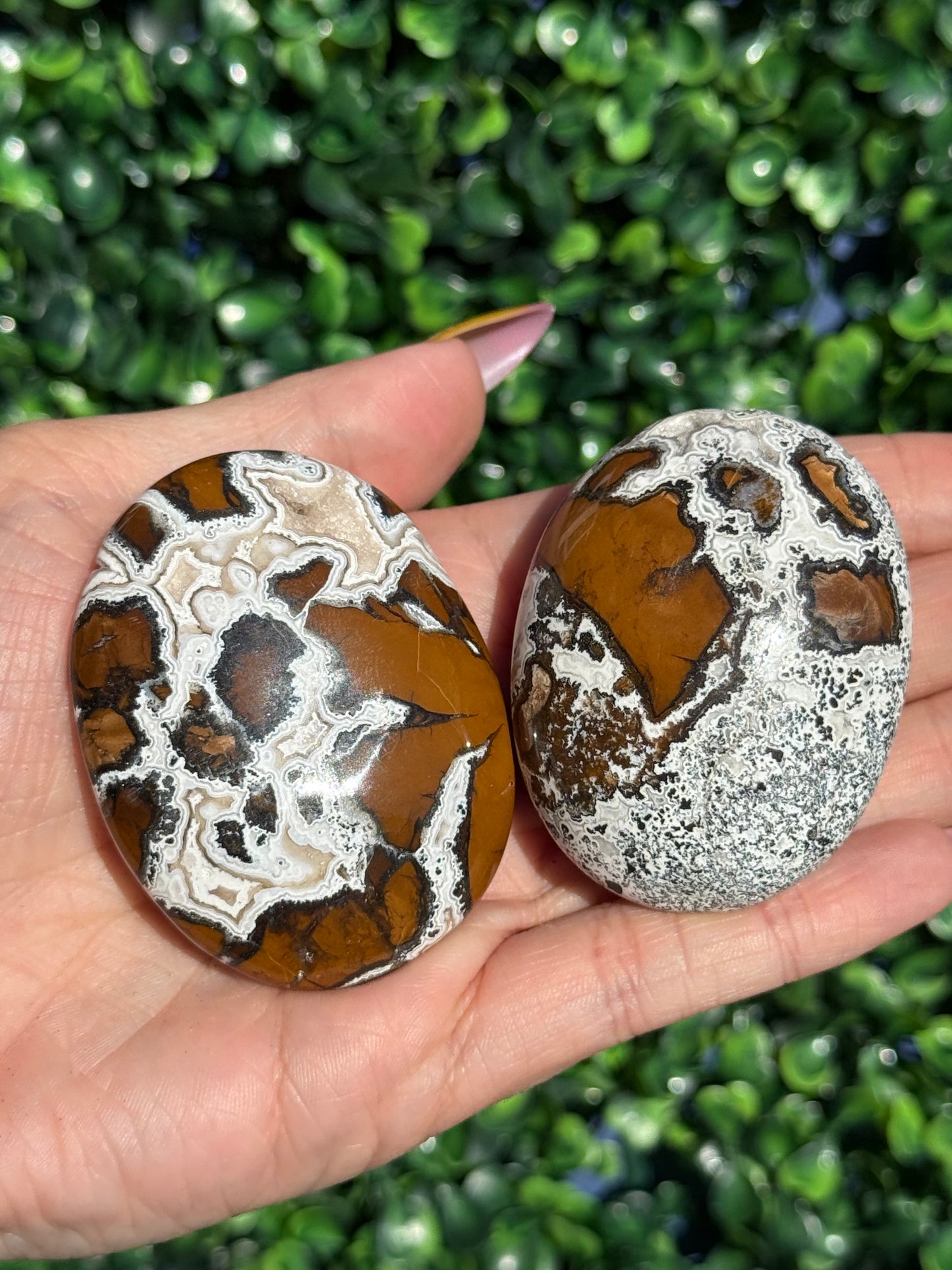 Brecciated Jasper Druzy Palmstones - Indonesia