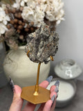 Pyritized Petrified Wood from Indonesia - G