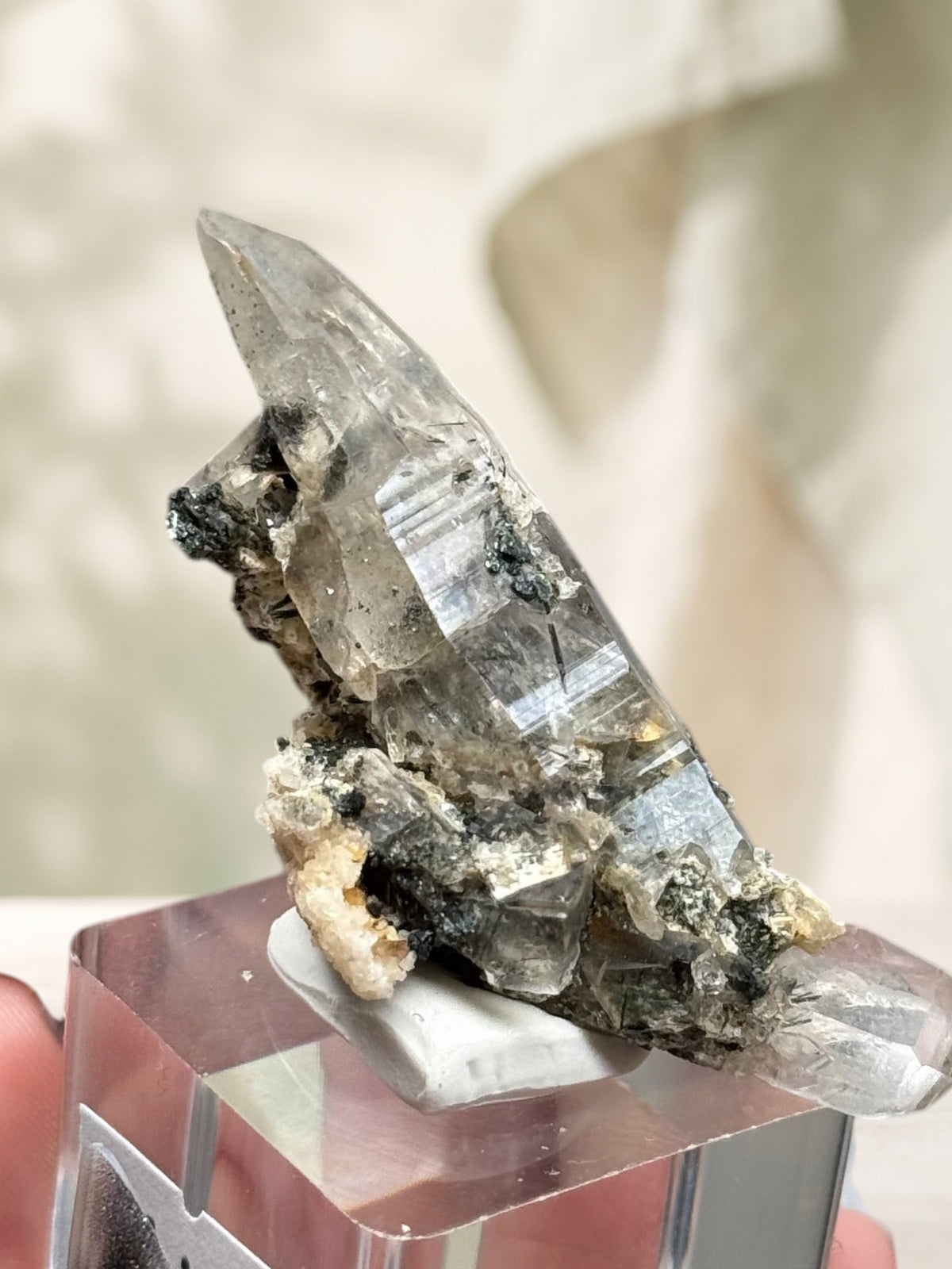 Crystal Glade laser quartz specimen from Balochistan with a long, slender, tapering point and natural ridged sides.