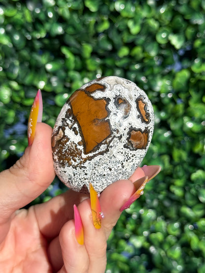 Brecciated Jasper Druzy Palmstones - Indonesia