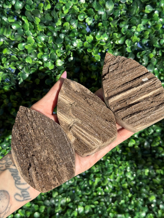 Sparkly Petrified Wood Teardrops - Indonesia