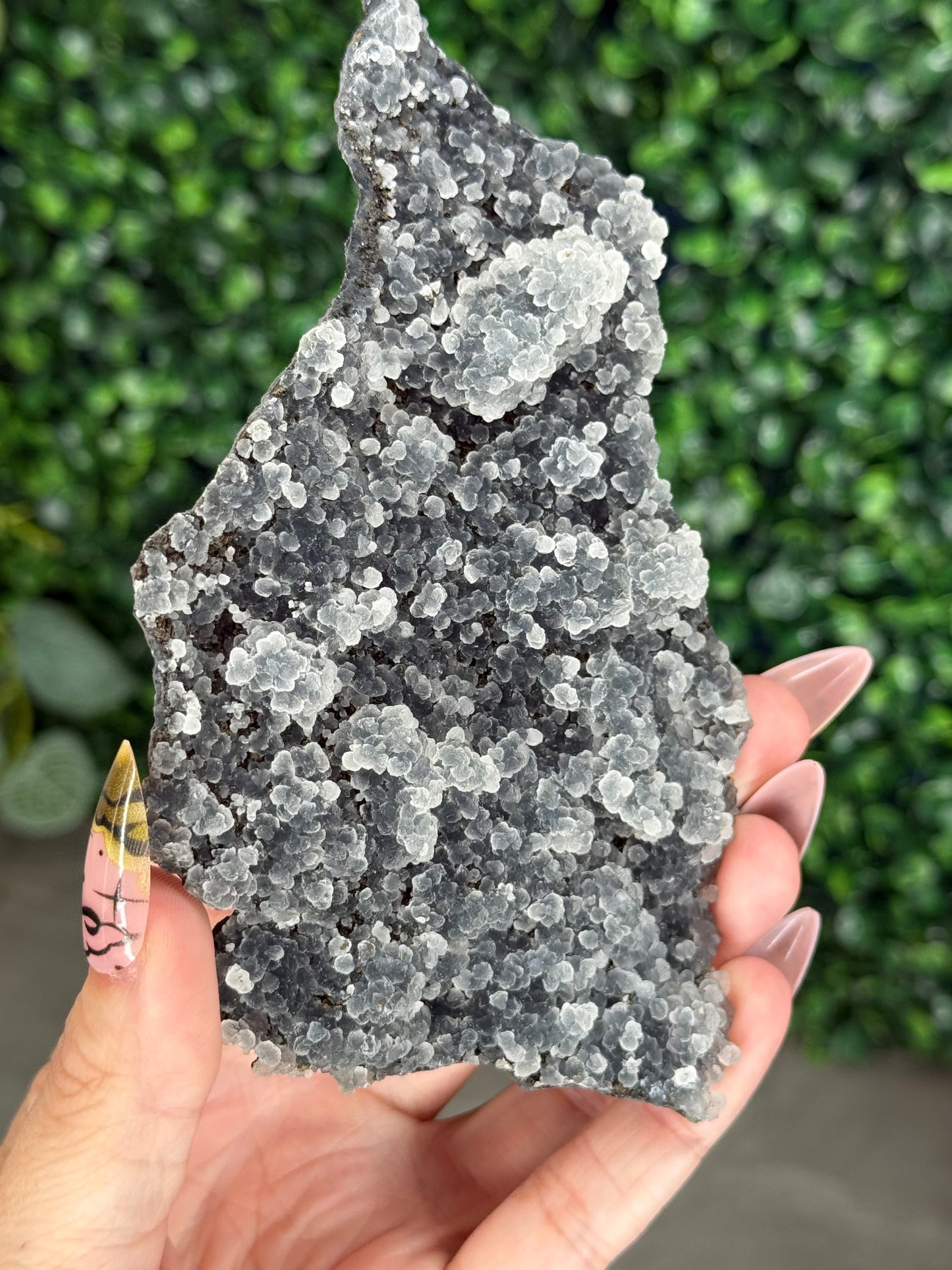 Black Chalcedony Crystal Specimen B