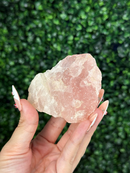 Raw Rose Quartz Crystal From Colorado USA F