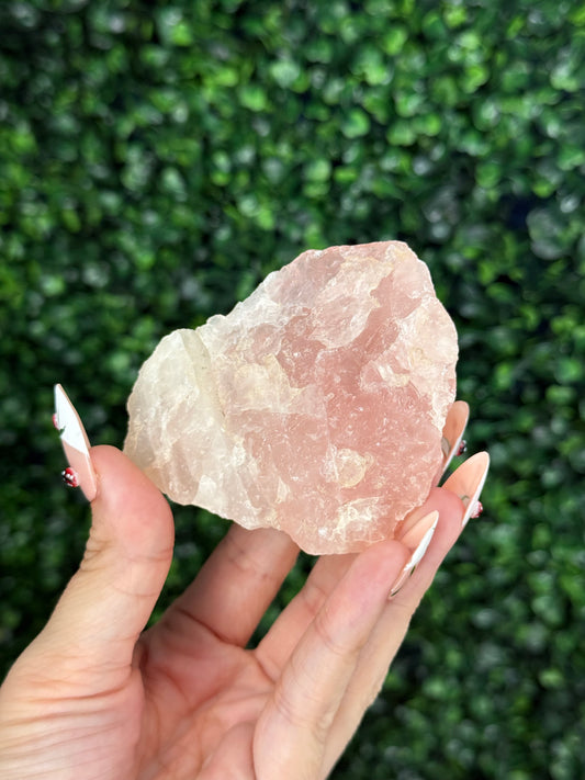 Raw Rose Quartz Crystal From Colorado USA F