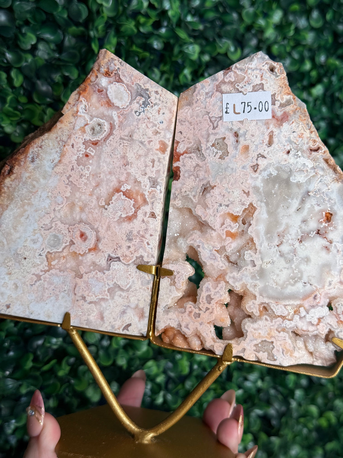 Rare Pink Carnelian Agate Slab Pair from Indonesia