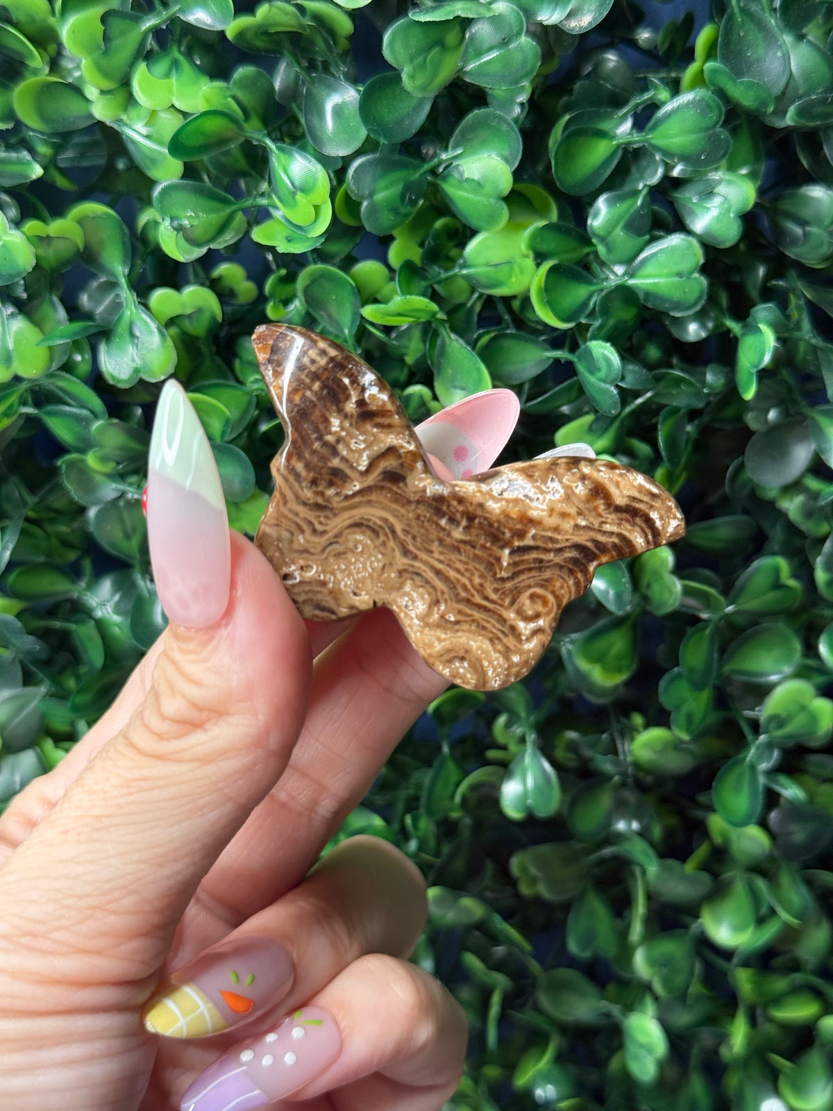 Chocolate Calcite Mini Butterfly Crystal Carvings - Pakistan