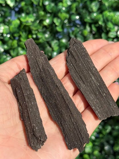 Sparkly Petrified Wood Specimens - Indonesia