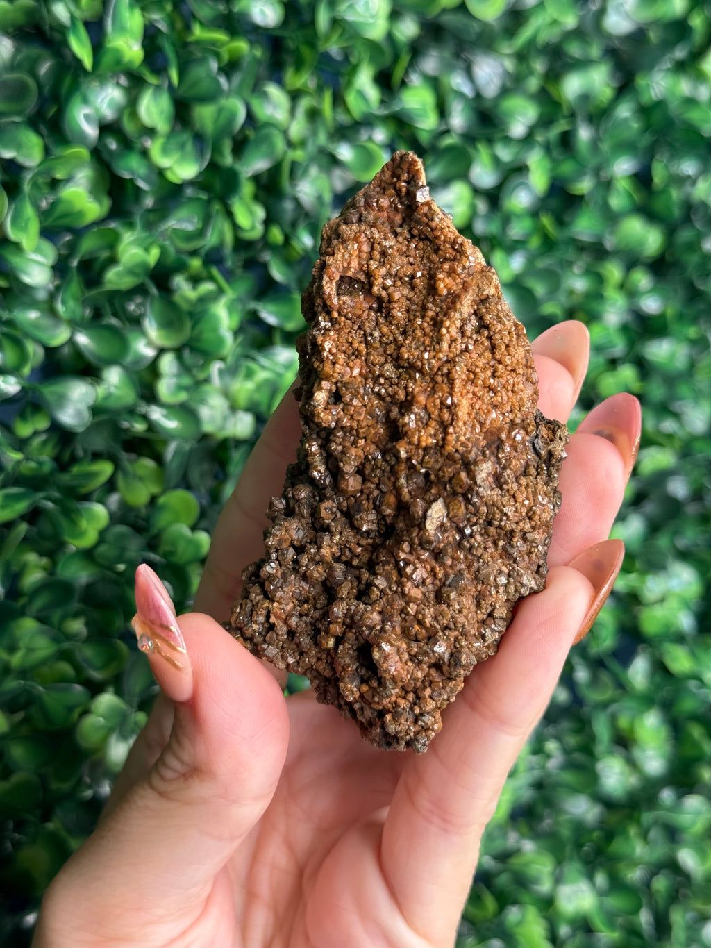 Andradite garnet from Nusa Tenggara Timur - Indonesia - D