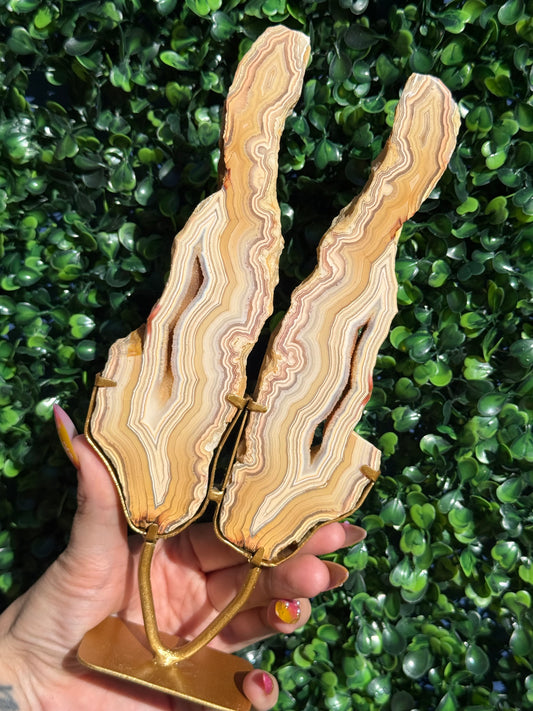 Yellow Crazy Lace Agate Druzy Wings Crystal Carving - Indonesia
