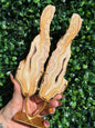 Yellow Crazy Lace Agate Druzy Wings Crystal Carving - Indonesia