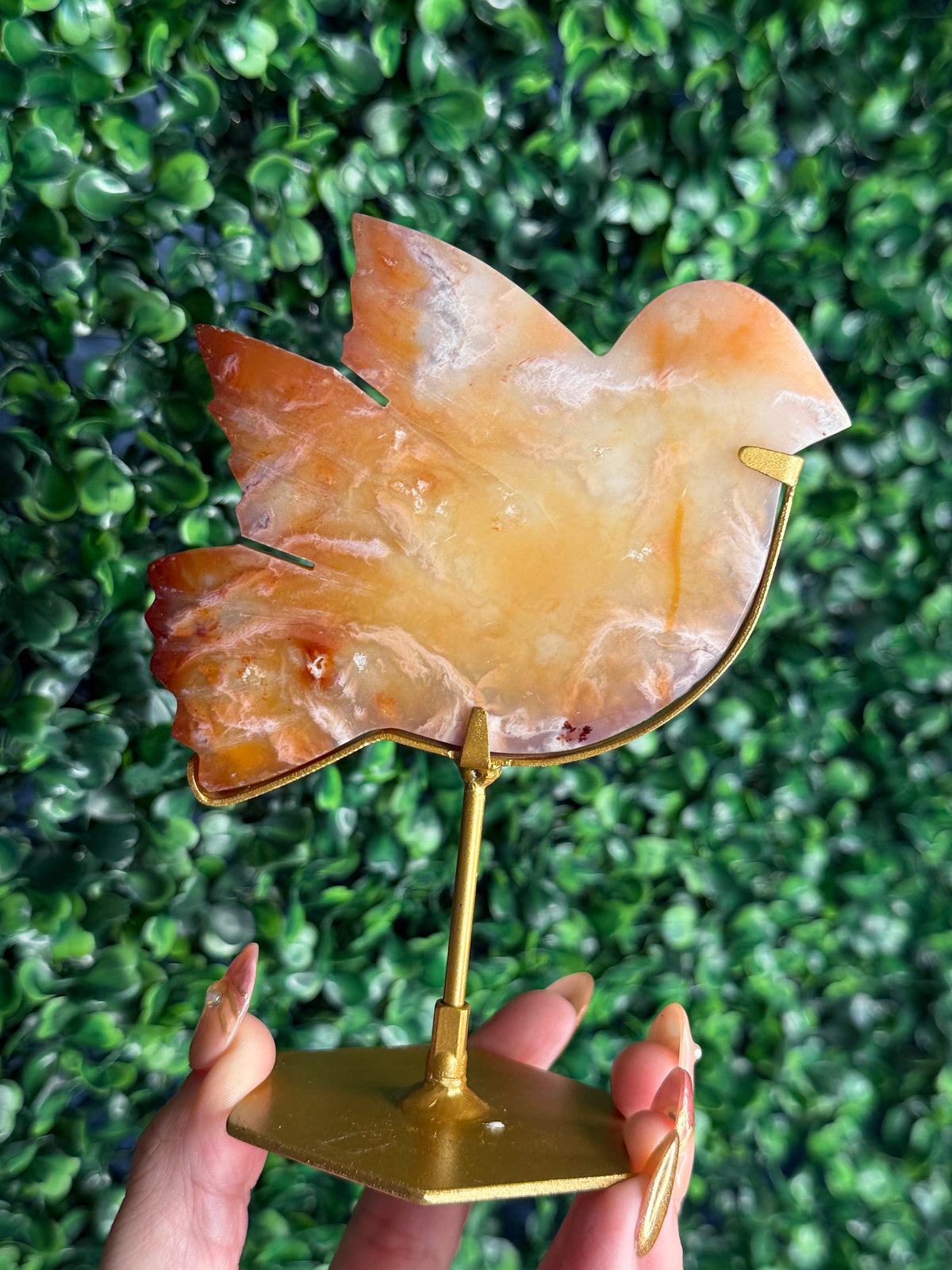Carnelian Bird Crystal Carving from Indonesia - B