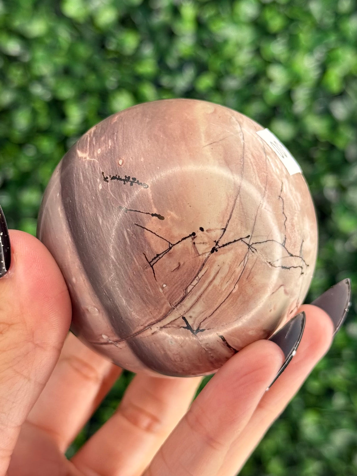 Pink Picture Jasper Spheres G