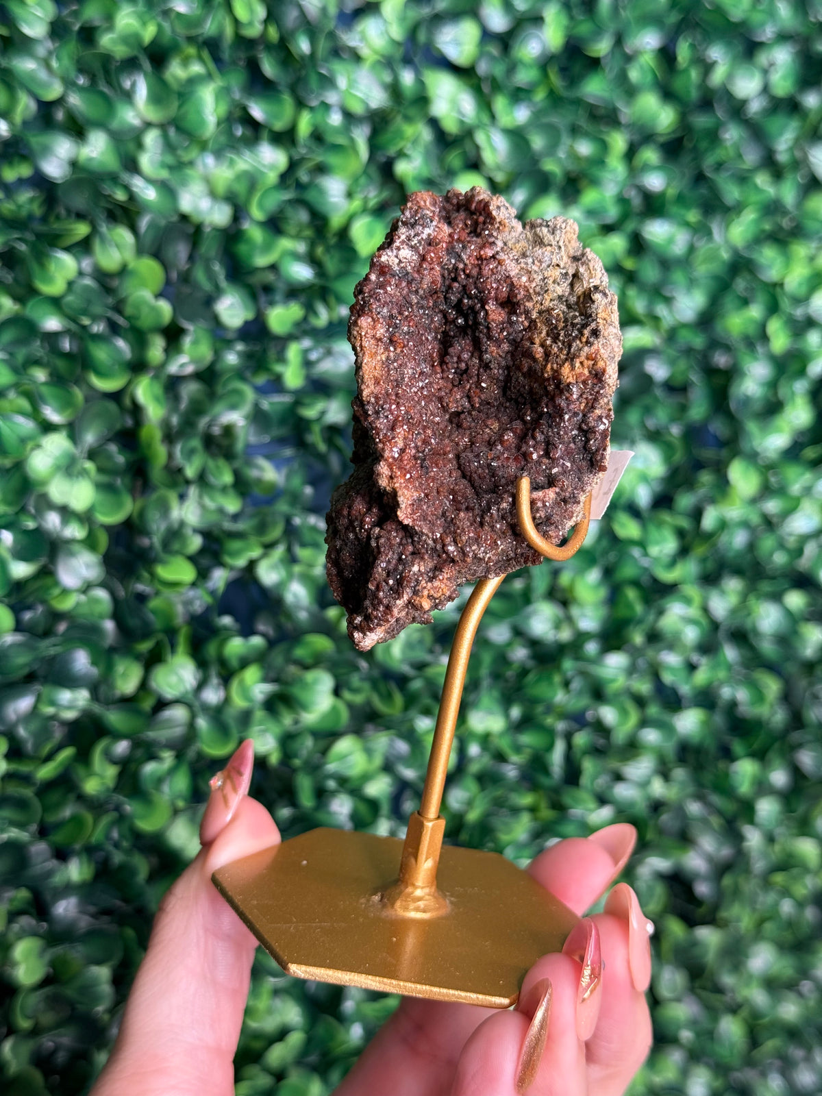 Andradite garnet from Nusa Tenggara Timur - Indonesia - G