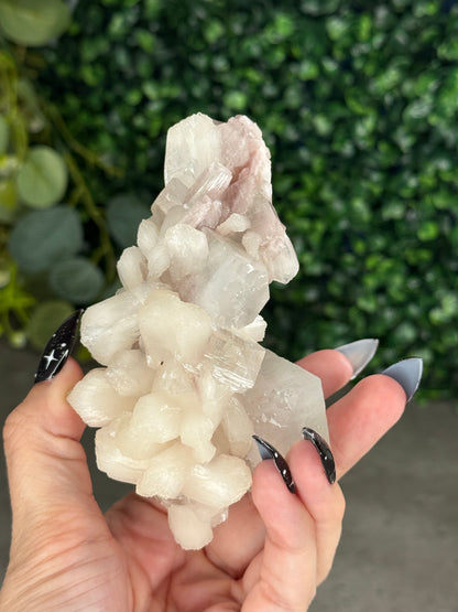 Pink & Green Apophyllite Specimens - G