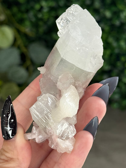 Pink & Green Apophyllite Specimens - R