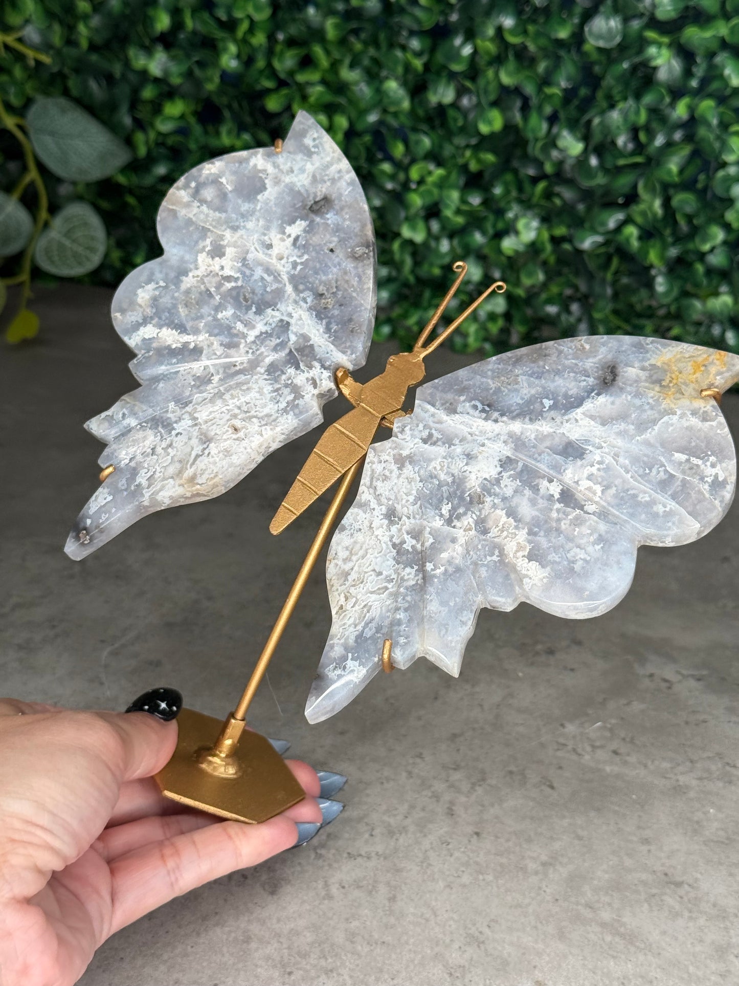 Blue Plume Agate Butterfly Wings Crystal Carvings from Indonesia