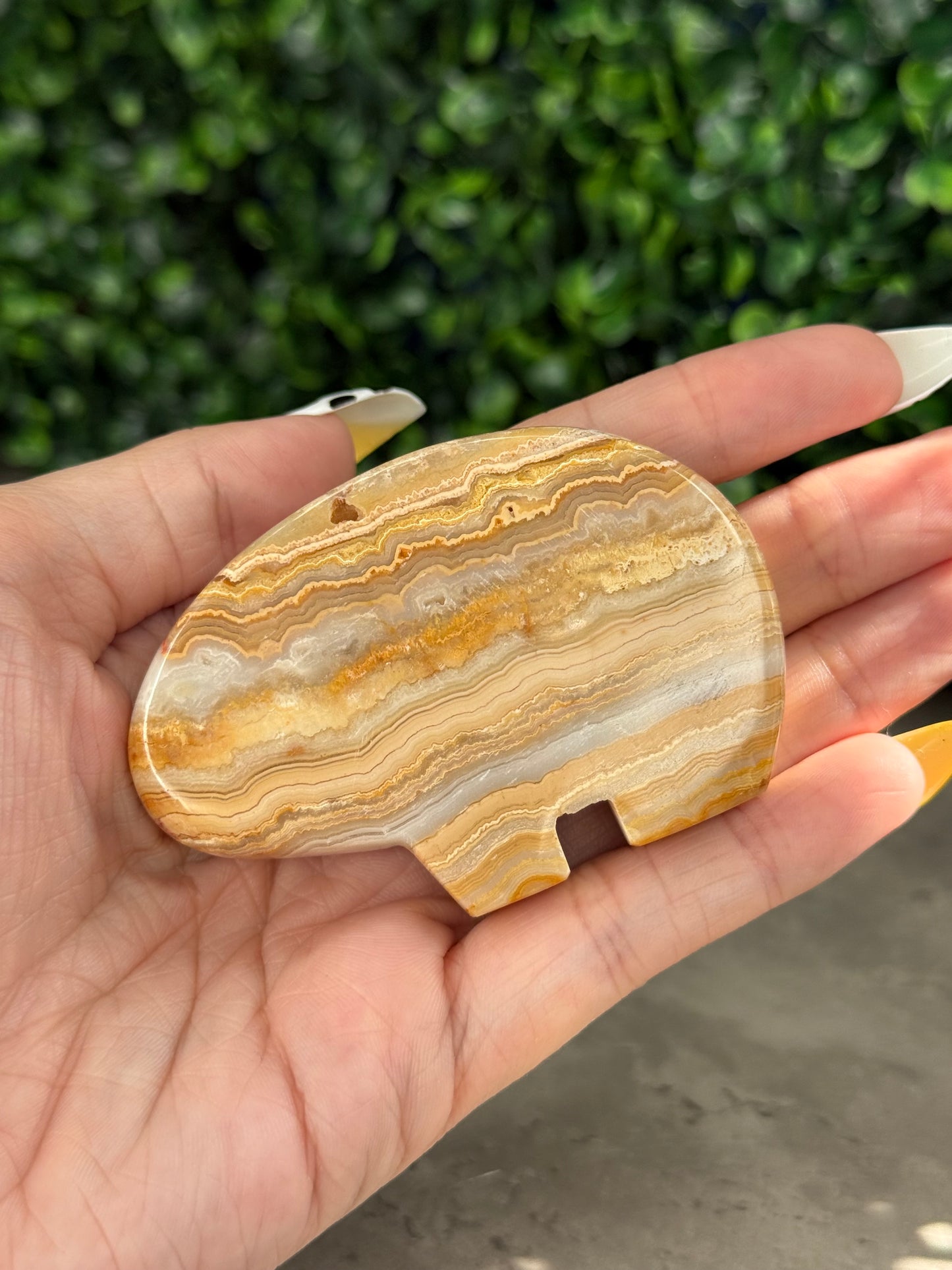 Yellow Crazy Lace Agate Bear Crystal Carvings - Indonesia