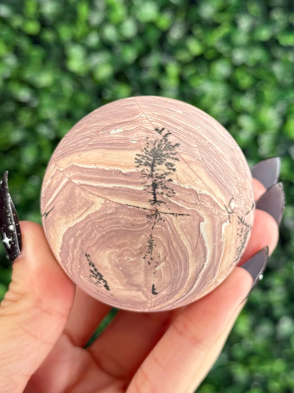 Pink Picture Jasper Spheres F