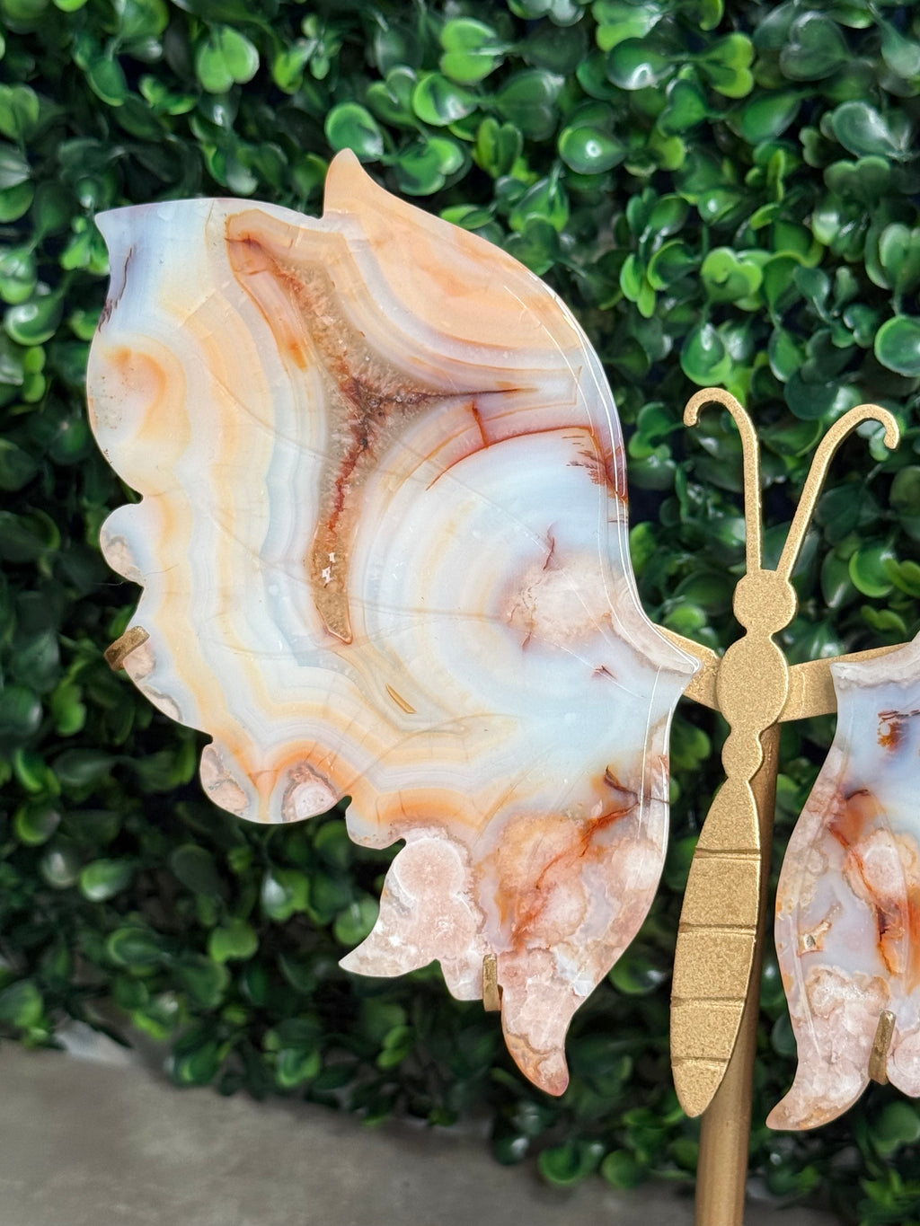 Carnelian Flower Agate Butterfly Wings Crystal Carvings - Medium Size - Z