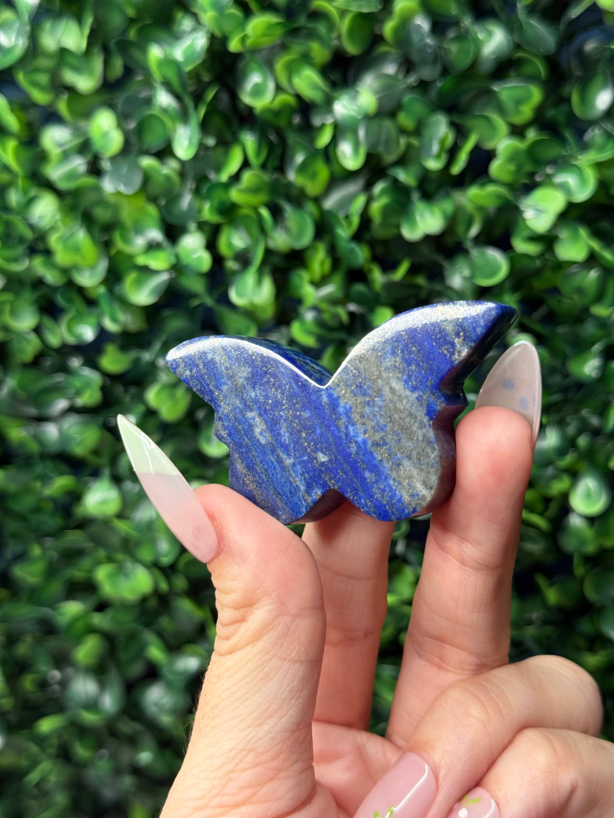 Lapis Lazuli Mini Butterfly Crystal Carvings - Afghanistan