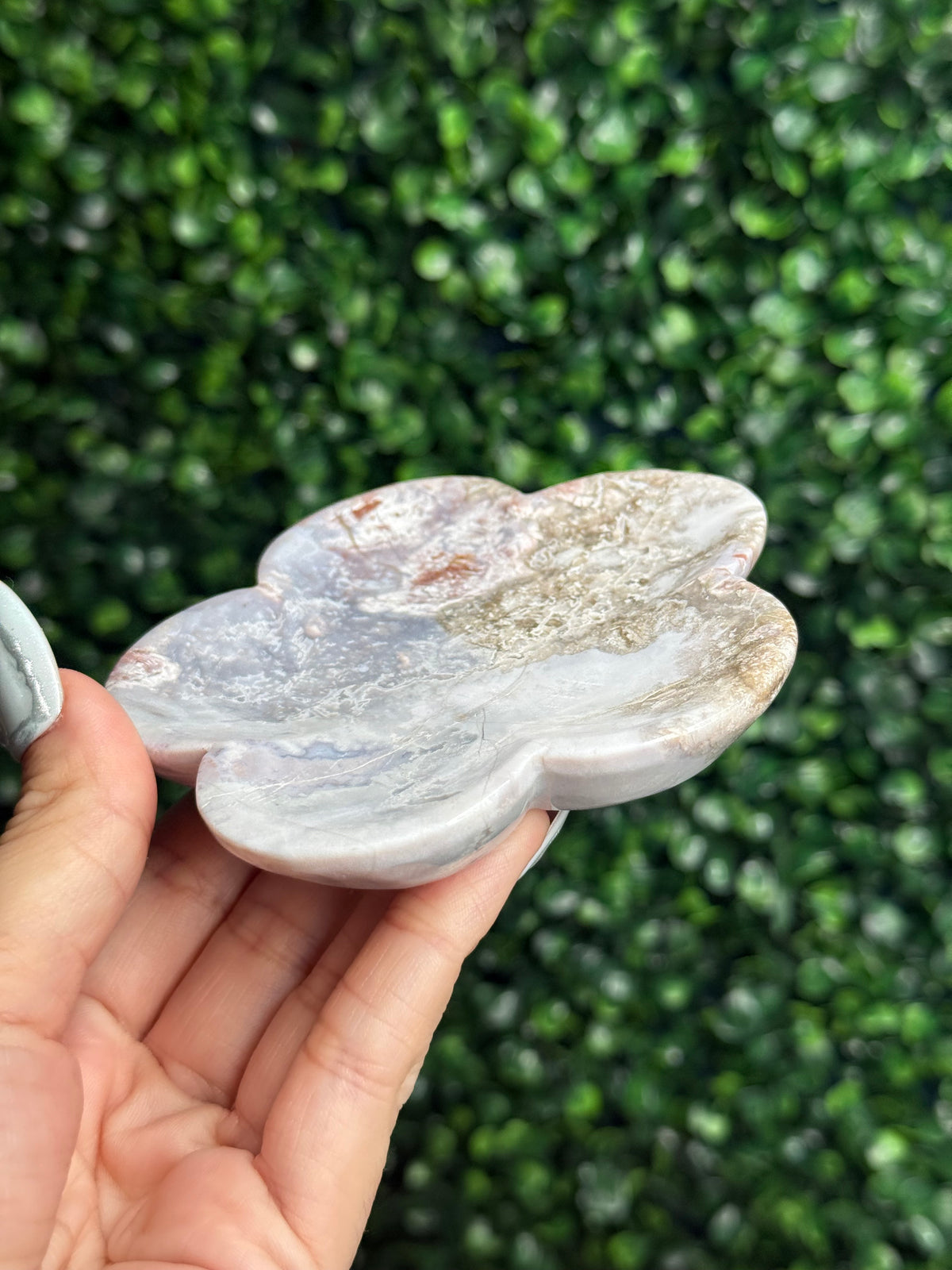 Pink & Purple Petrified Wood Bowl Trays Crystal Carvings - C