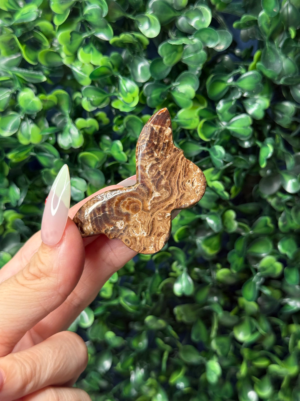 Chocolate Calcite Mini Butterfly Crystal Carvings - Pakistan