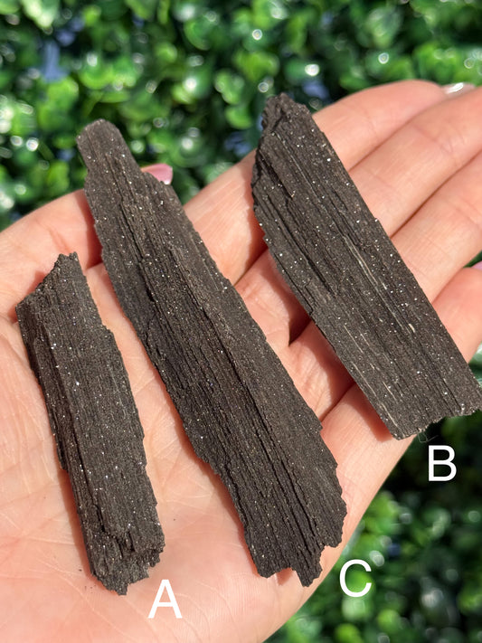 Sparkly Petrified Wood Specimens - Indonesia