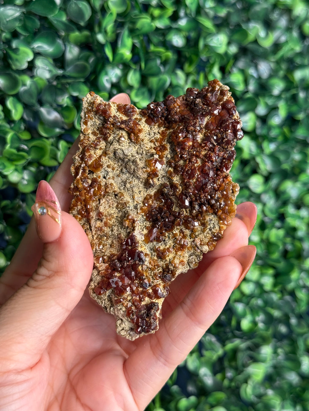 Andradite garnet from Nusa Tenggara Timur - Indonesia - F