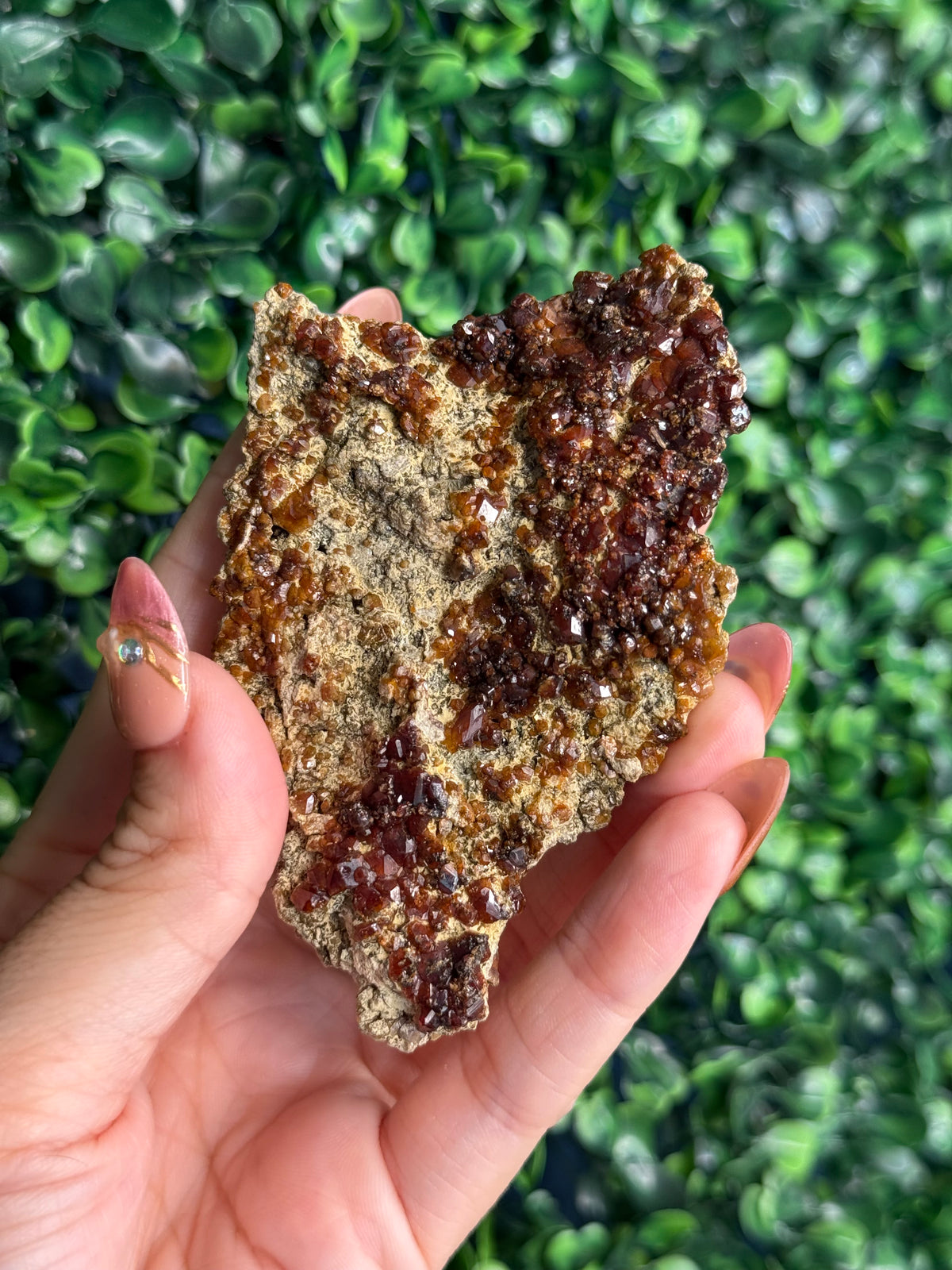 Andradite garnet from Nusa Tenggara Timur - Indonesia - F