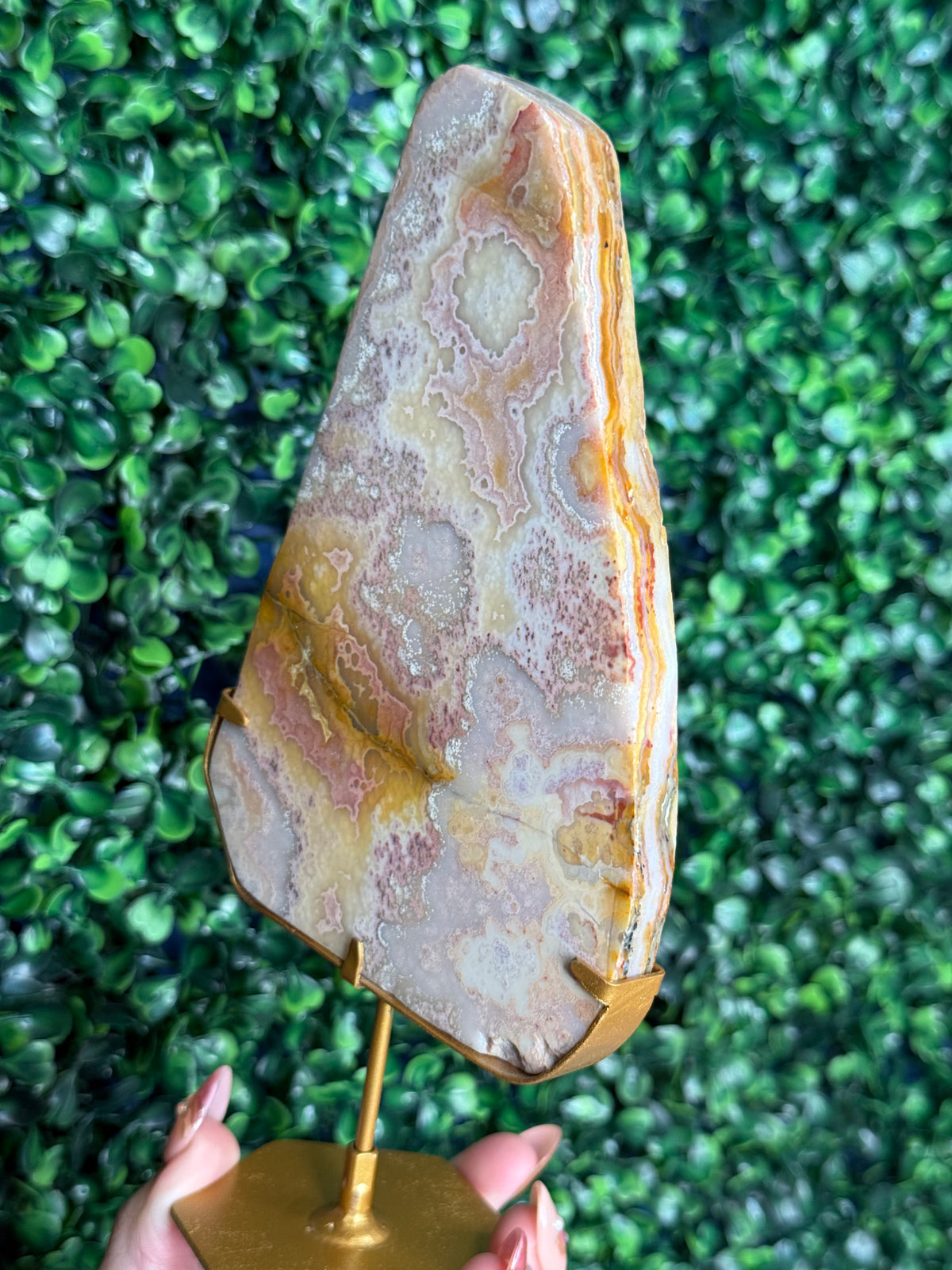 Colourful Crazy Lace Agate Slab from Indonesia C