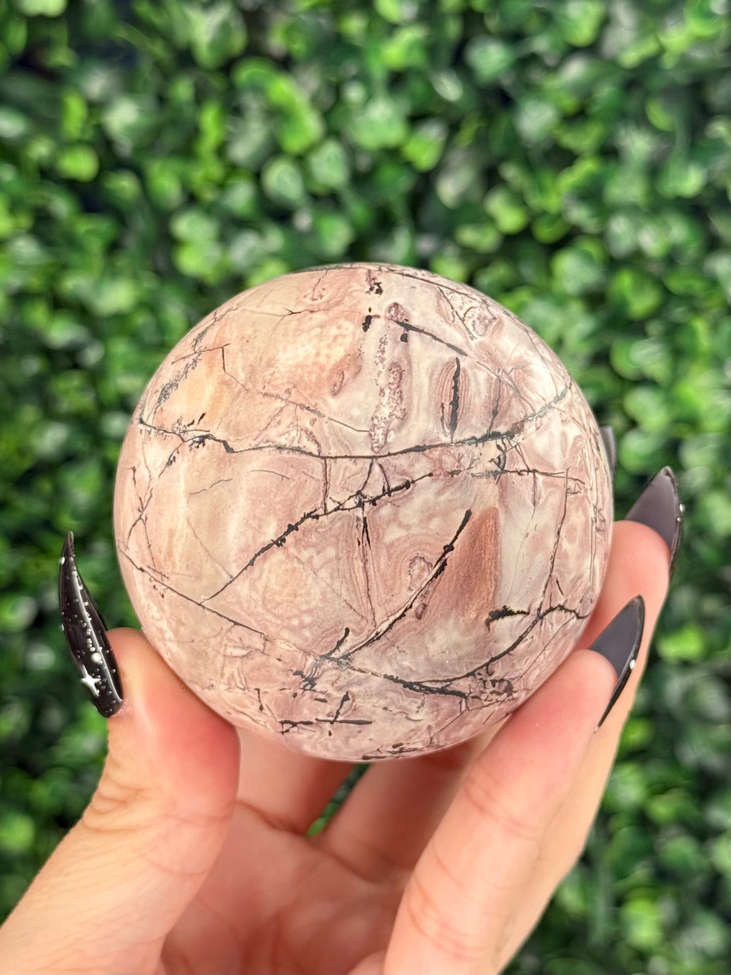 Pink Picture Jasper Spheres B