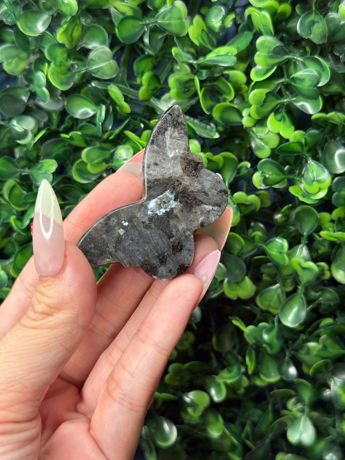 Larvikite Mini Butterfly Crystal Carvings - Pakistan