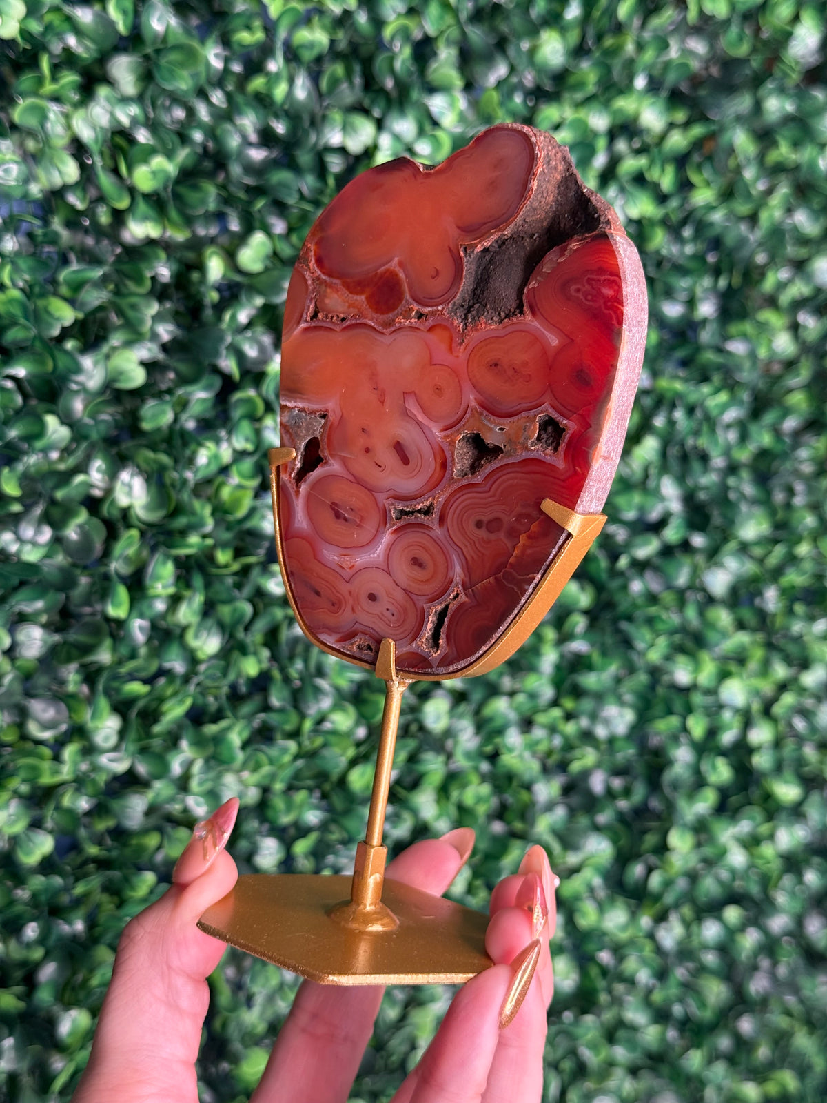 Red Carnelian Slab A from Indonesia with gold stand