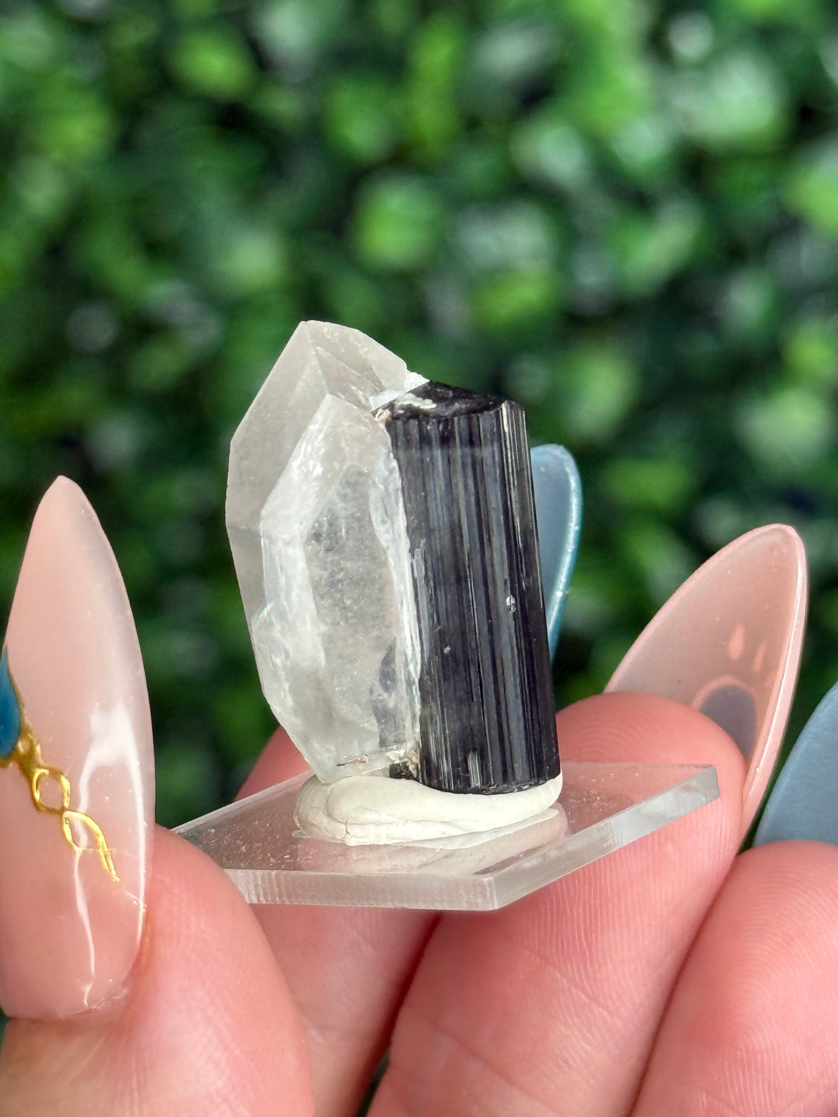 Black Tourmaline with Quartz Specimen — Skardu Valley, Pakistan J