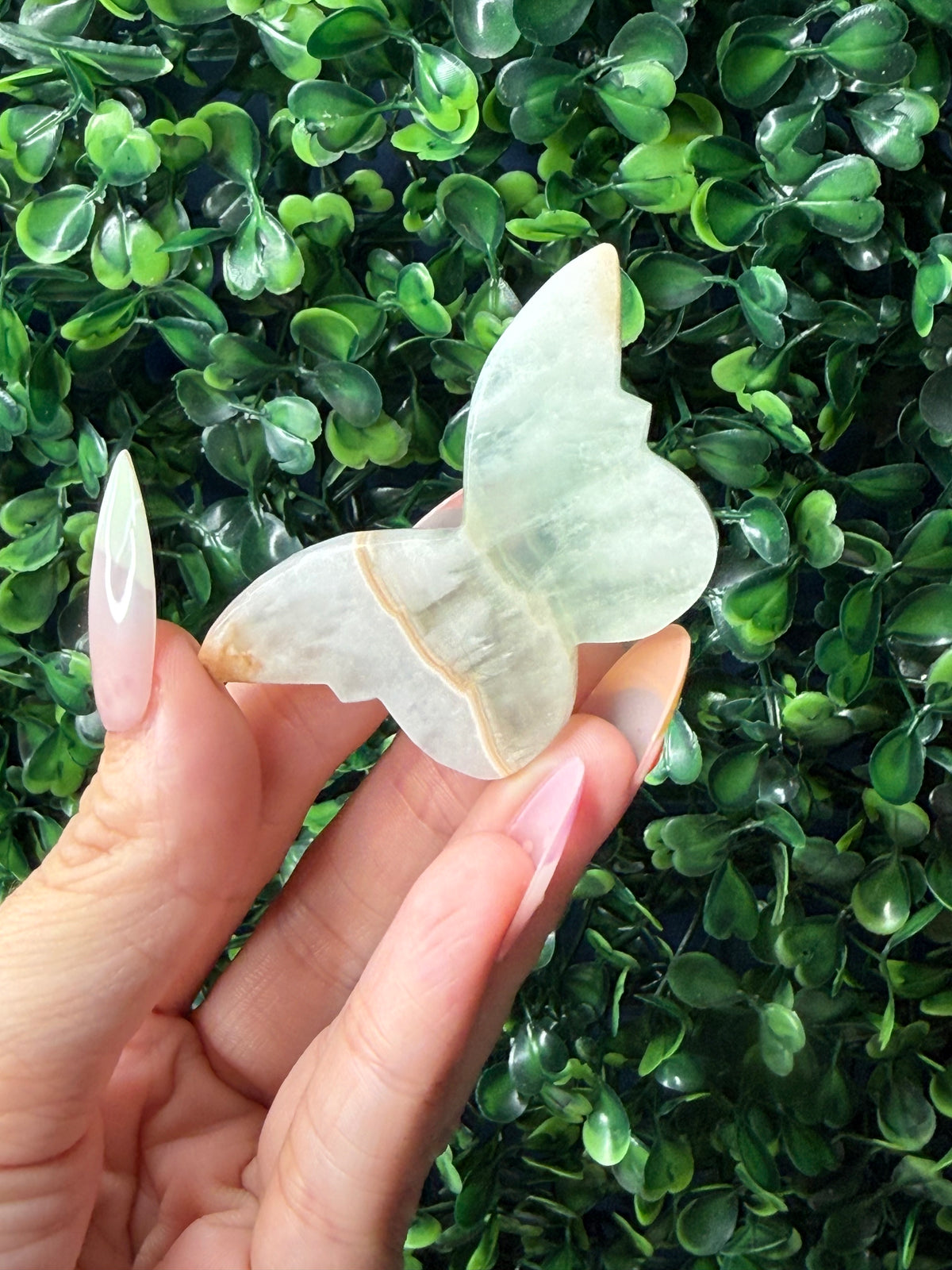 Green Caribbean Calcite Mini Butterfly Crystal Carvings - Pakistan