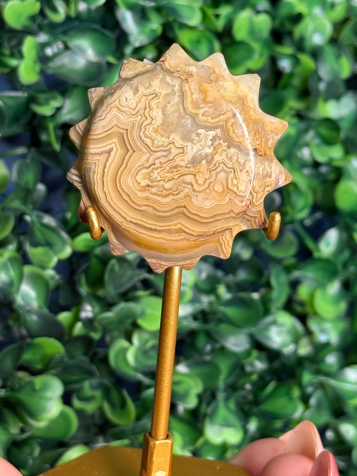 Yellow Crazy Lace Agate Mini Sun X from Indonesia