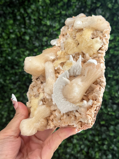 Stilbite and Mordenite on Heulandite Crystal Specimen - India - 505g