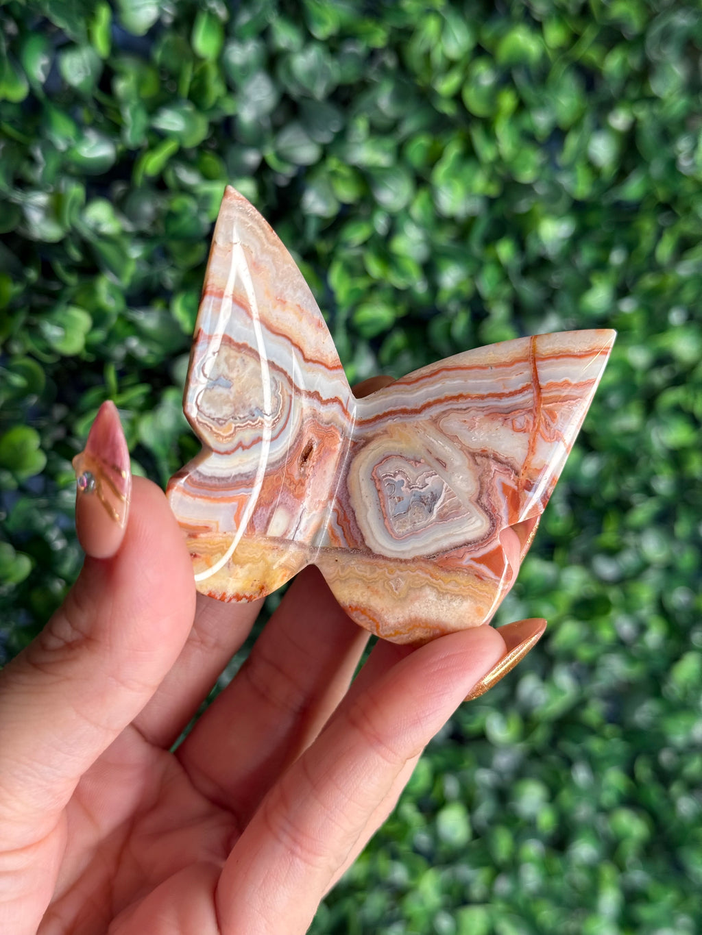 Crazy Lace Agate 3D Butterfly Crystal Carving from Indonesia C