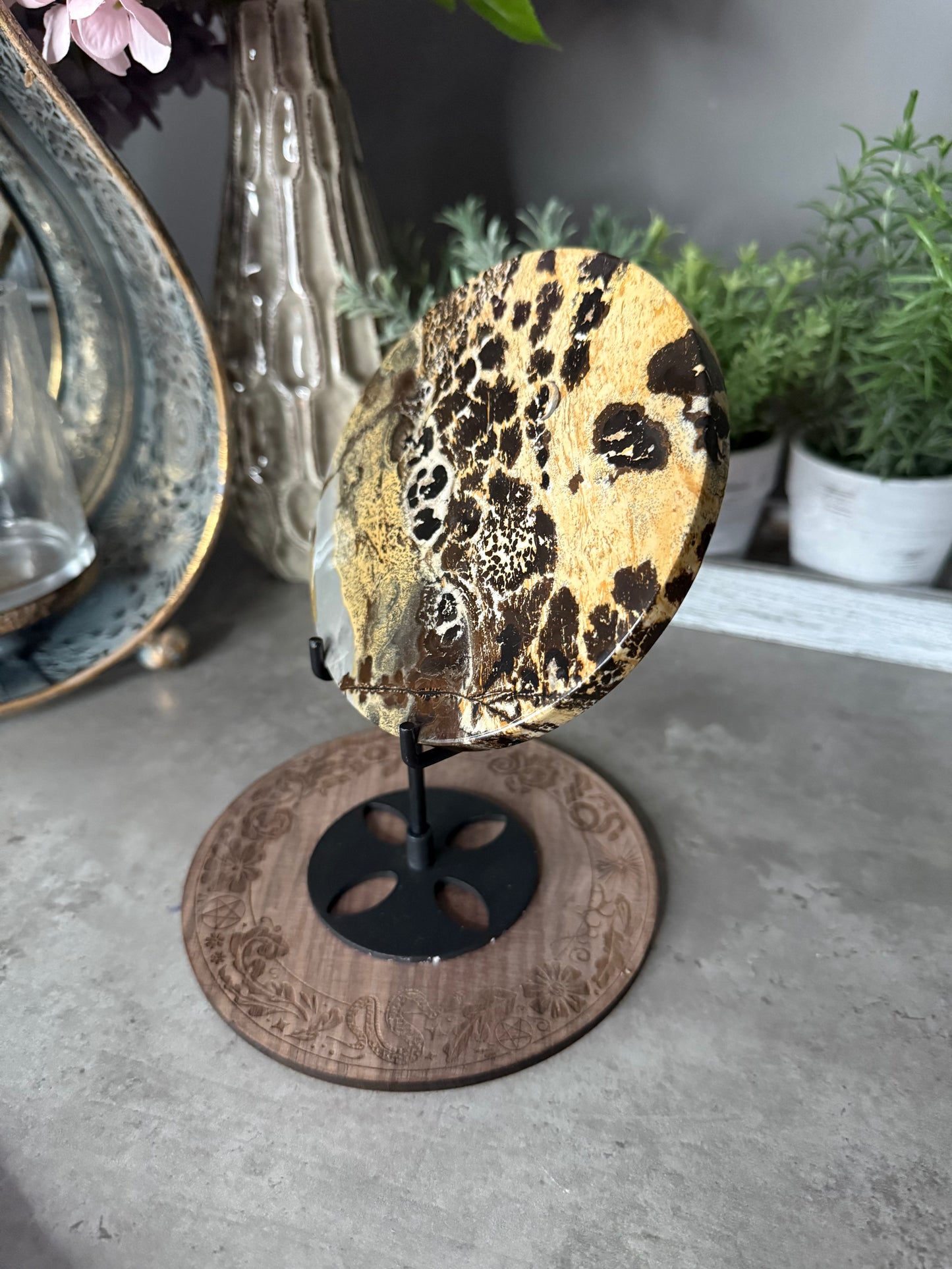 Picture Jasper Large Crystal Discs with Stands