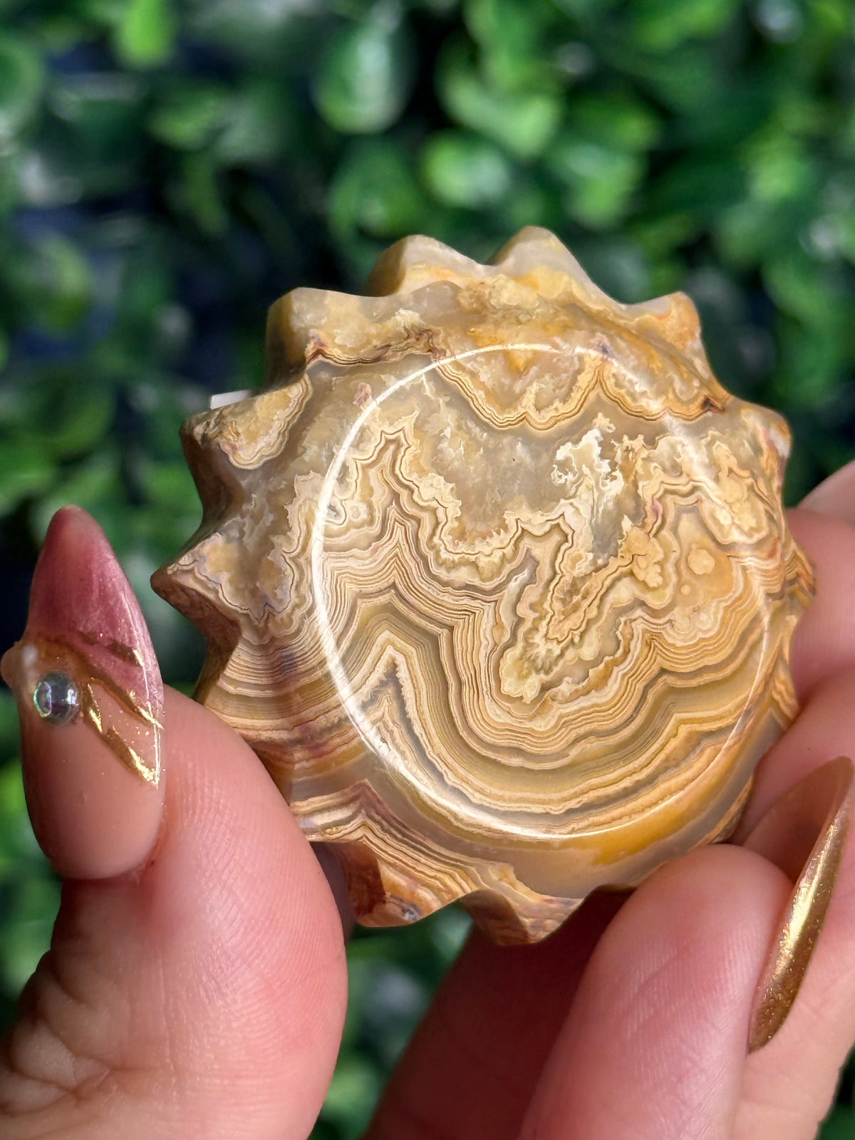 Yellow Crazy Lace Agate Mini Sun X from Indonesia