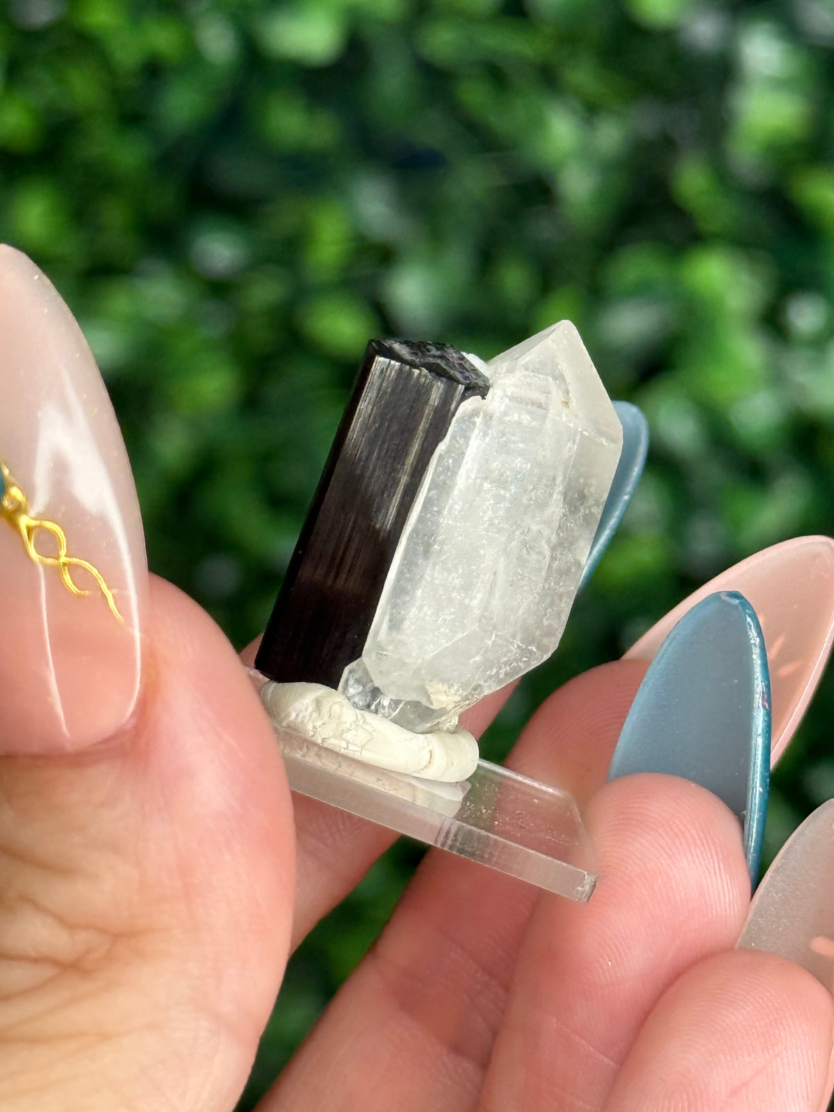 Black Tourmaline with Quartz Specimen — Skardu Valley, Pakistan J