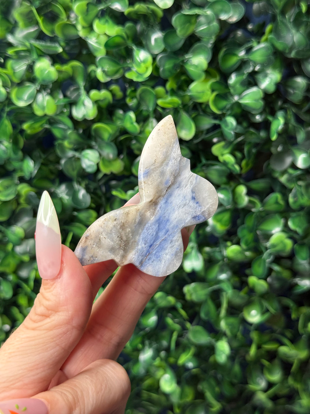 Afghanite Mini Butterfly Crystal Carvings - Pakistan
