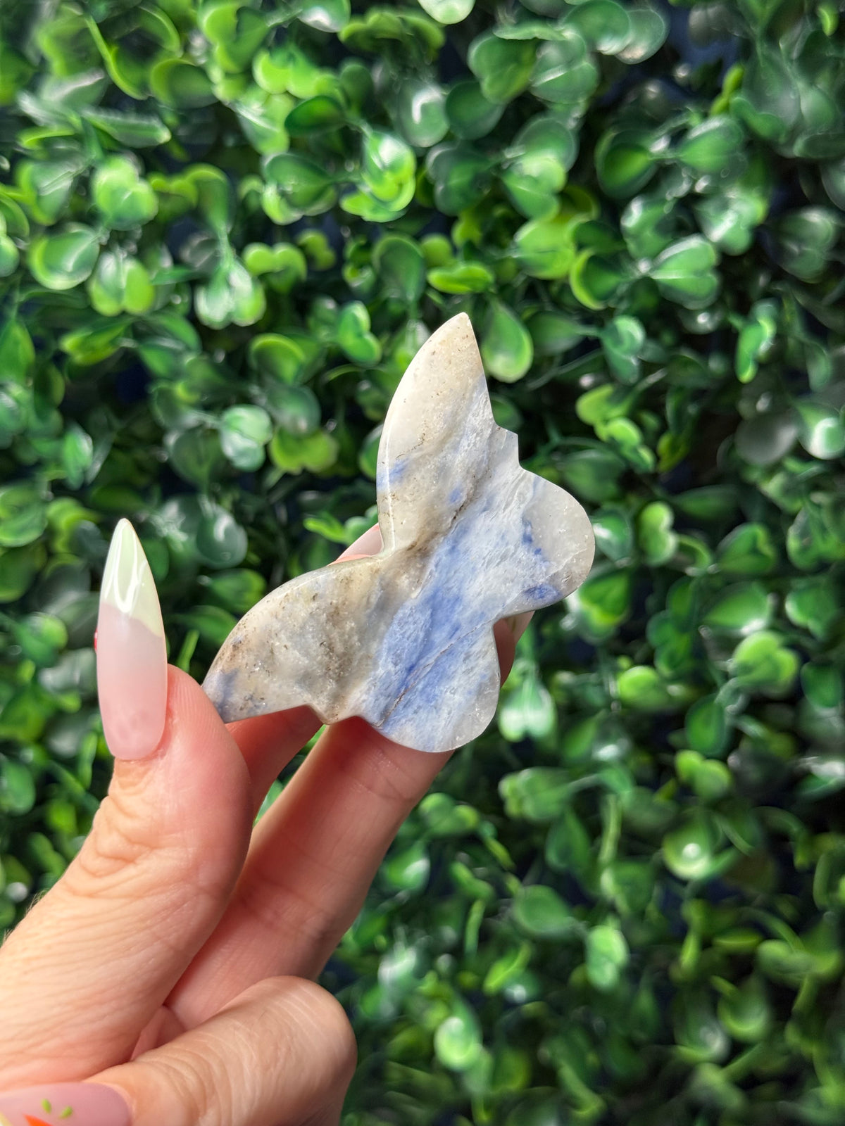 Afghanite Mini Butterfly Crystal Carvings - Pakistan