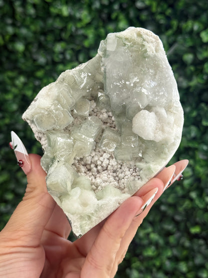 Green Apophyllite with Mordenite Crystal Specimen from India 400g