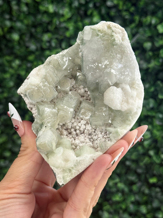 Green Apophyllite with Mordenite Crystal Specimen from India 400g