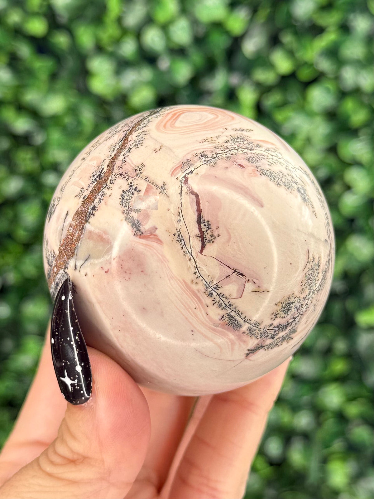 Pink Picture Jasper Spheres D