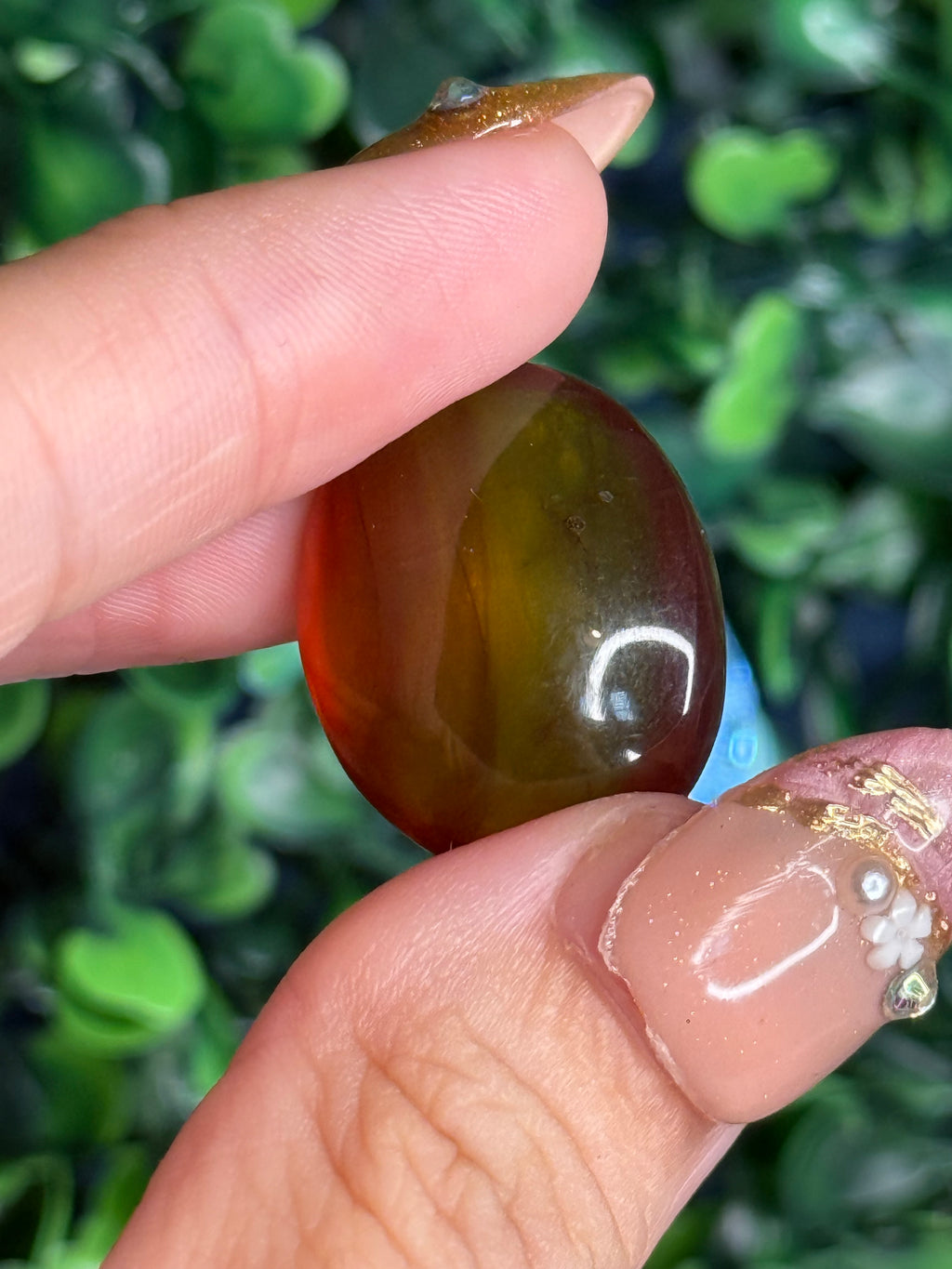 Burmese Cretaceous Amber (UV Fluorescent) with Insects and Inclusions C