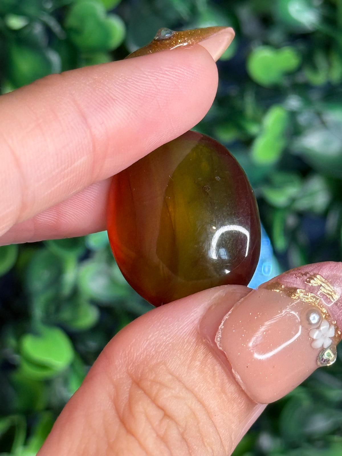 Burmese Cretaceous Amber (UV Fluorescent) with Insects and Inclusions C